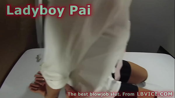 Perfect Blowjob From Ladyboy Pai