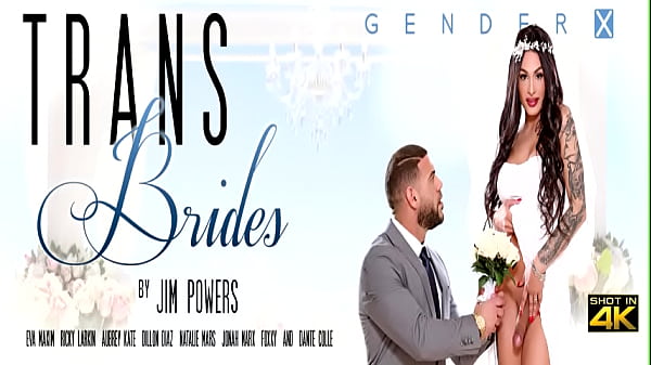 Gorgeous shemale analed by handsome friend